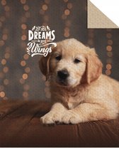 Honden Bedsprei- Deken- Labrador- 170x210- Polyester- lichtgewicht- Dekbed deken- Plaid- Puppy
