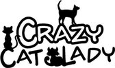 sticker  crazy cat lady