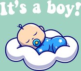 Raamsticker geboorte 'It's a boy!' | 120x100cm | Herbuikbaar!
