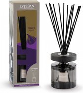 Esteban Classic Geurstokjes Ellipse 150ml-Figue Noire