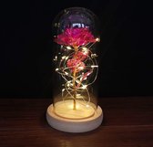 Roses of love - roze roos in glazen stolp met LED - Beauty and the Beast roos - Valentijnsdag, Trouw & Liefde Cadeau | Cadeau voor haar | Moederdag cadeautje | Kerst cadeau | huwelijkscadeau 