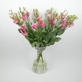 Bos Eustoma Roze - 10 stuks - VERSE SNIJBLOEMEN - 80cm - Bos Lissianthus Roze - GRATIS VERZENDING