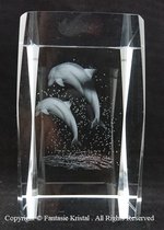 Laserblok dolfijnen