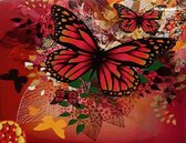 Denza - Diamond painting volwassenen vlinder rood beauty 40 x 50 cm volledige bedrukking ronde steentjes direct leverbaar - butterfly - vlinder - vliegen - rood - unieke afbeelding - diamant peinture