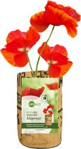 Superwaste-Kweektuintje-klaprozen-rode bloemen-verse bloemen-vlinderbloemen-moestuin-stadstuin- vlinders-duurzaam-ecosysteem-verjaardag-cadeau-moederdag-vaderdag-valentijn-fairtrade-ecologisch-duurzaam-kinder-tuinieren-groene vingers