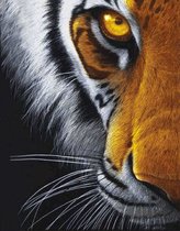 Diamond painting - eye of the predator - tijger - 40x50 cm - full - rond - gespannen canvas
