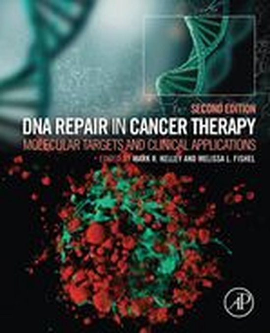 DNA Repair in Cancer Therapy: Molecular Targets and Clinical Applications