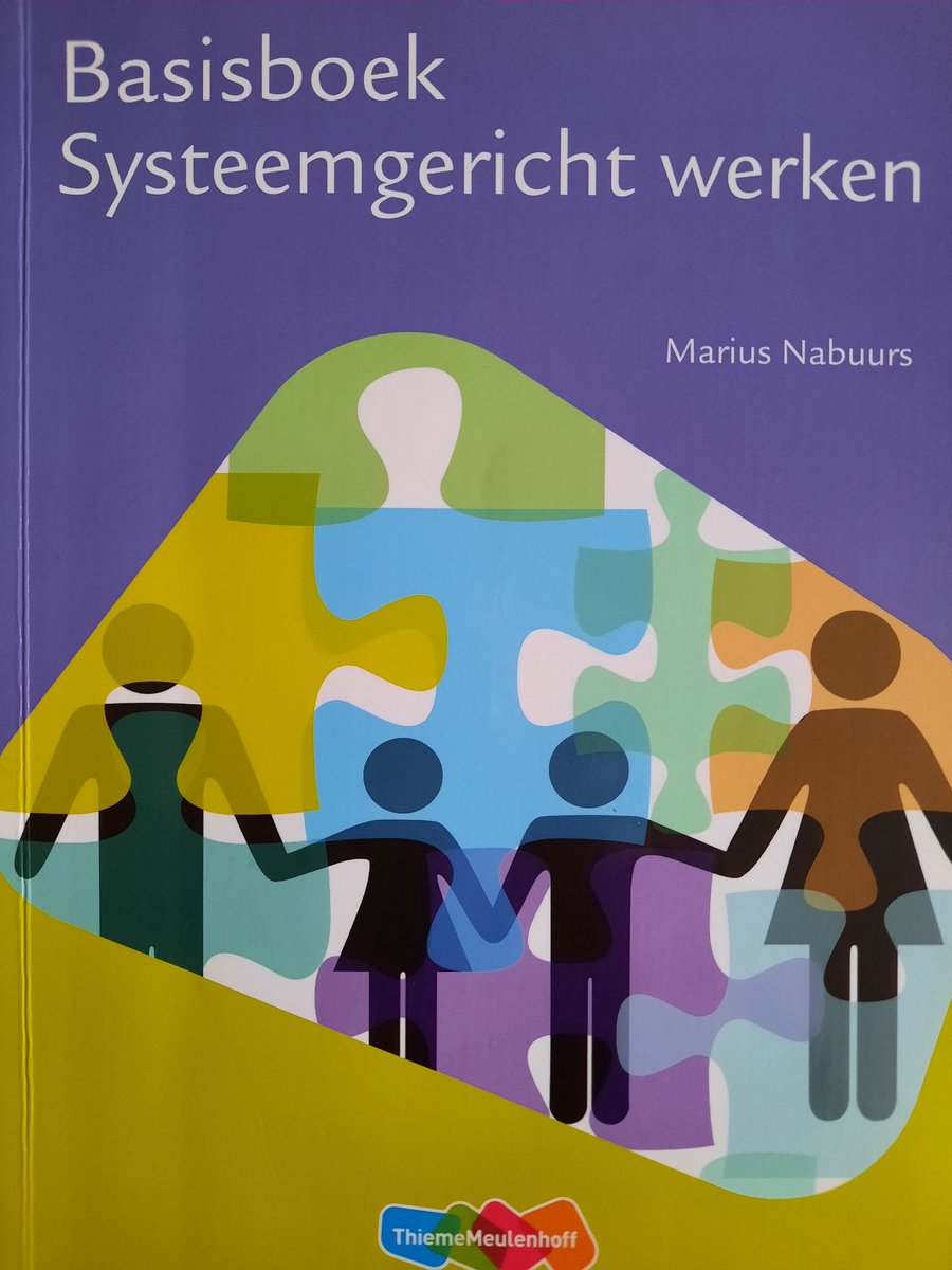 Basisboek Systeemgericht werken - Marius Nabuurs