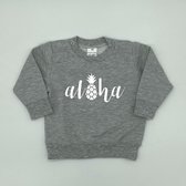 Baby Sweater - Aloha - Grijs - Maat 68