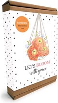 Paper Art - Ranonkel bloembollen + aarde - Groei en bloei - Let's bloom with grace bloembollenpakket - brievenbus formaat - cadeau tip