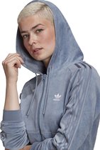 adidas Originals Crop Fz Hood Sweatshirt Vrouwen Blauwe DE32/FR34