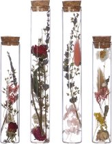 Comforder Droogbloemen in Glas - Gedroogde Bloemen Boeket met Vaas - Set van 4 - Inclusief Vaas - In Fles