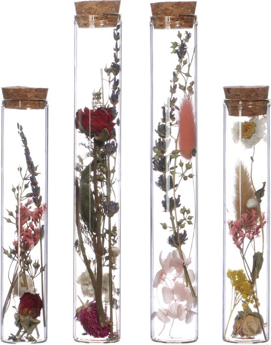 Comforder Droogbloemen in Glas - Gedroogde Bloemen Boeket met Vaas - Set van 4 - Inclusief Vaas - In Fles - Moederdag Cadeautje