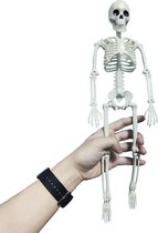 WiseGoods Luxe Model Skelet - Educatief Speelgoed - Halloween Decoratie - Carnaval - Decoratieve Accessoires - Kinderen - Anatomie