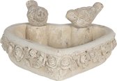 Vogelbad 24*24*11 cm Grijs Steen Vogeldrinkbak Vogeldrinkschaal Waterbak Vogels