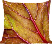 Sierkussens - Kussentjes Woonkamer - 40x40 cm - Grote rode nerven in een groen blad
