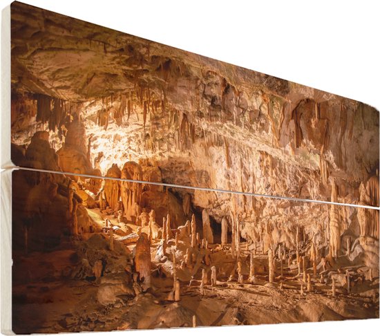 Wanddecoratie hout - Aparte vormen in grot van Postojna - 60x40 cm - Houten  Wandpaneel... | bol.com