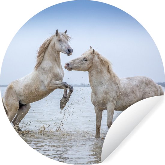 Muursticker wilde dieren Wandelende krokodil