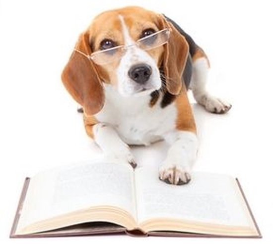 Comment bien dresser chien? (ebook), Selim Guler | | | bol.com