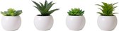 Atmosphera Kunstplant - Nepplant - Wit - Set van 4 - Voor Binnen - Met Pot - Rond