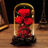 Eeuwige Bloemen - Eeuwige Roos - In Glas Kerstversiering - Voor Thuis - Bewaarde Rozen - Moederdag Valentijnsdag Geschenk - 110-Rood