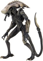 Chrysalis Alien - Aliens - Neca - Action Figure.