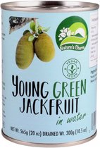 Nature's charm - jonge groene jackfruit in water - 4x 300g -