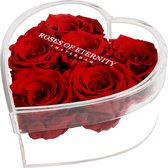 Roses of Eternity - 6 Longlife rozen in hart acryl box - Romantisch - Cadeau voor vrouw - vriendin - haar - liefdes - Valentijn - rood