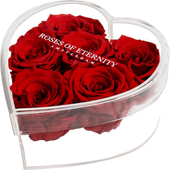 Avonturier canvas galerij Roses of Eternity - 6 Longlife rozen in hart acryl box - Romantisch -  Cadeau voor... | bol.com