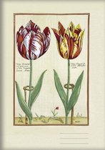 Notitieboekje Tulpen 15x21cm