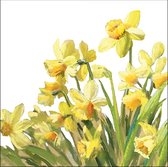 Ambiente - Golden Daffodils - Papieren lunch servetten
