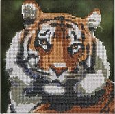 DP-Diamond® - Diamond Painting - Dieren - Tijger - 30x30cm