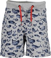 Blue Seven - Short - Grijs met dolfijnen - Maat 110