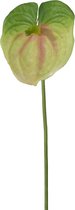 Kunstbloem - Anthurium - topkwaliteit decoratie - 2 stuks - zijden bloem - Groen - 77 cm hoog
