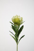 Kunstbloem - Leucospermum - topkwaliteit decoratie - 2 stuks - zijden bloem - Groen - 66 cm hoog