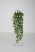 Kunstplant - Sprengeri - topkwaliteit decoratie - 2 stuks - hangplant - Groen - 76 cm hoog