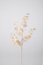 Kunsttak- Eucalyptus - topkwaliteit decoratie - 2 stuks - zijden tak - Wit - 87 cm hoog