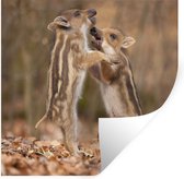 Stickers Stickers muraux - Sanglier s'ébattant - 30x30 cm - Feuille adhésive