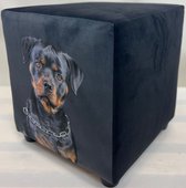 Dog Hocker