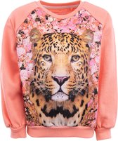 Stones And Bones Meisjes Sweater Odessa Wild Cat Salmon