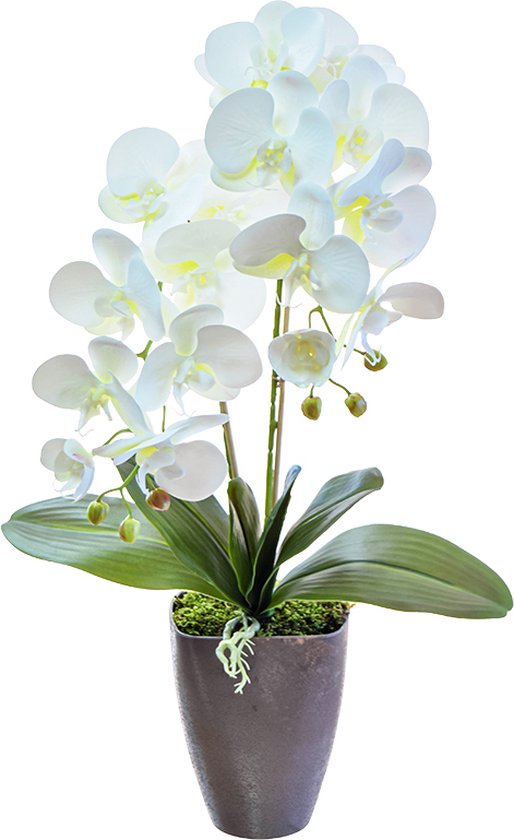 Kamyra® Orchidee Kunstplant - Nep Planten Met Bloemen - Sierbloemen - Plant  Voor... | bol.com