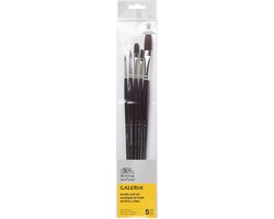 Winsor & Newton 5790611 Galeria Acrylpenseel Set – 5 Penselen met Lange Steel voor Acrylschilderen ( Rond 2, Rond 6, Plat 4, Plat 14, Filbert 8 )