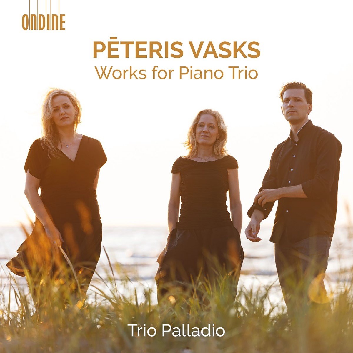 Trio Palladio - Vasks: Works For Piano Trio (CD)