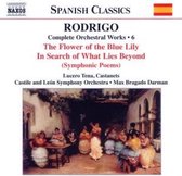 Orquesta Sinfonica De Castilla Y Le - Spanish Class. / Pallilos Y Pandere (CD)