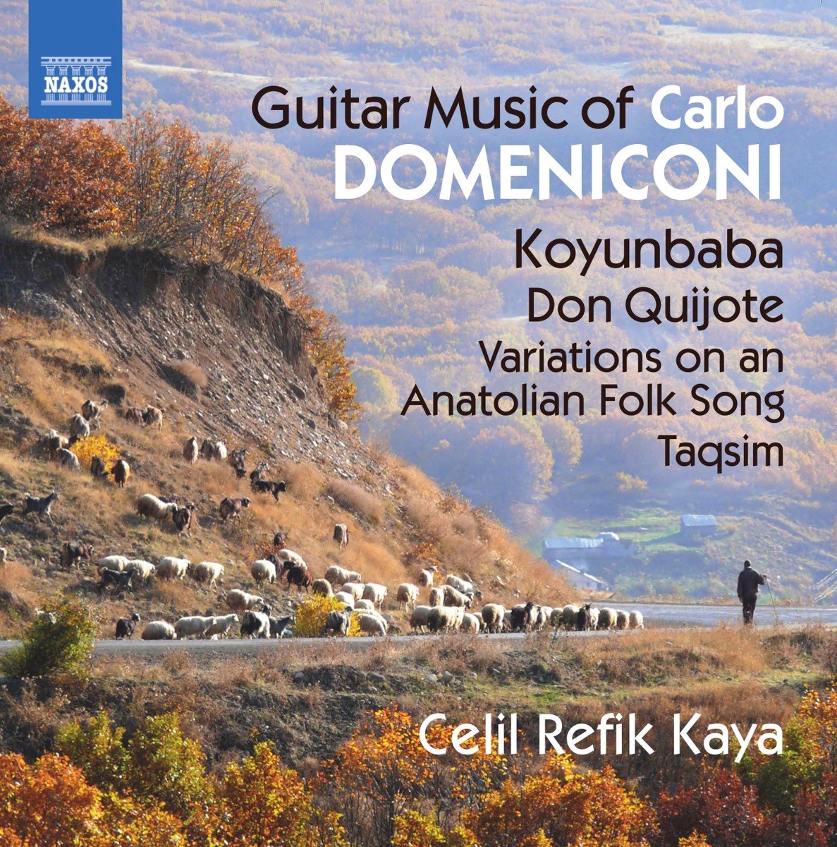 Celil Refik Kaya - Guitar Music Of Carlo Domeniconi (CD)