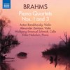 Eldar Nebolsin & Anton Barakhovsky & Alexander Zemtsov - Piano Quartets Nos. 1 And 3 (CD)