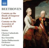 Niklas Spangberg - Chorus Cathedralis Aboensis - T - Cantata On The Death Of Emperor Joseph II - Cantat (CD)