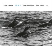 Peter Erskine Trio - Juni (CD)