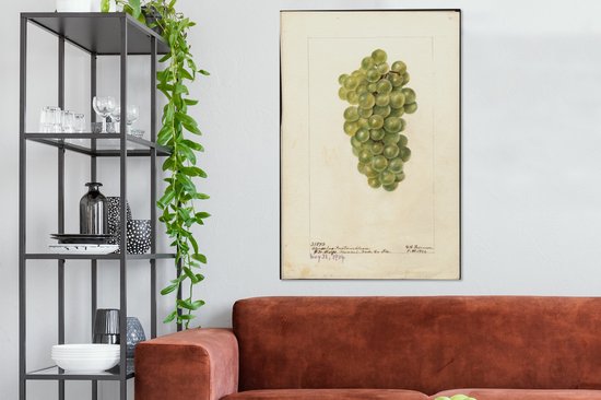 Toile Peinture Raisins Witte - peinture de Deborah Griscom Passmore - 90x140 cm - Décoration murale