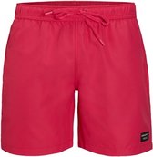 Bjorn Borg Swim Shorts Sebastian Maat L